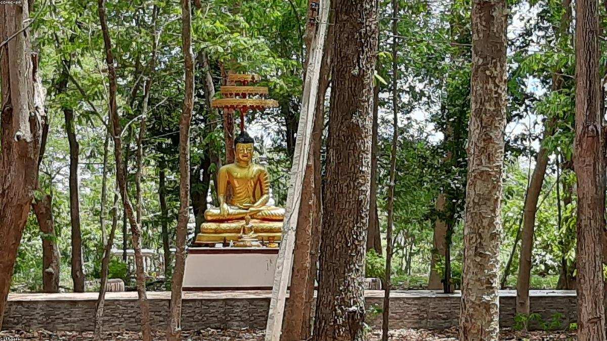 Hướng dẫn thiền tập